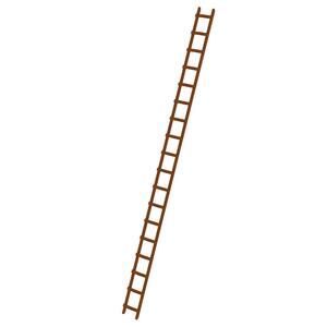 Günzburger Steigtechnik Dachleiter Holz 18 Sprossen